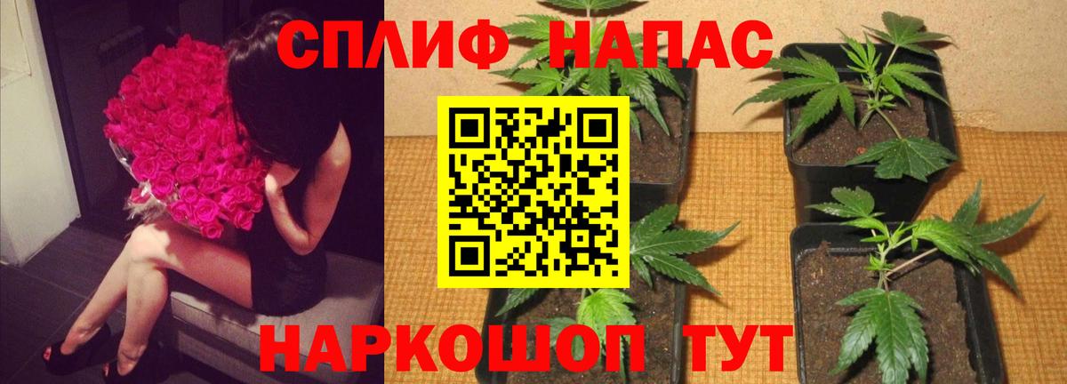 Марихуана SATIVA & INDICA Чусовой